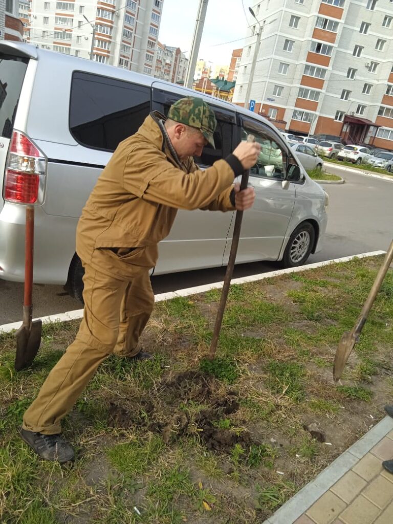 Что такое «Молодо-зелено»?