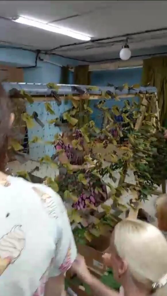 Маленькие сети на заказ