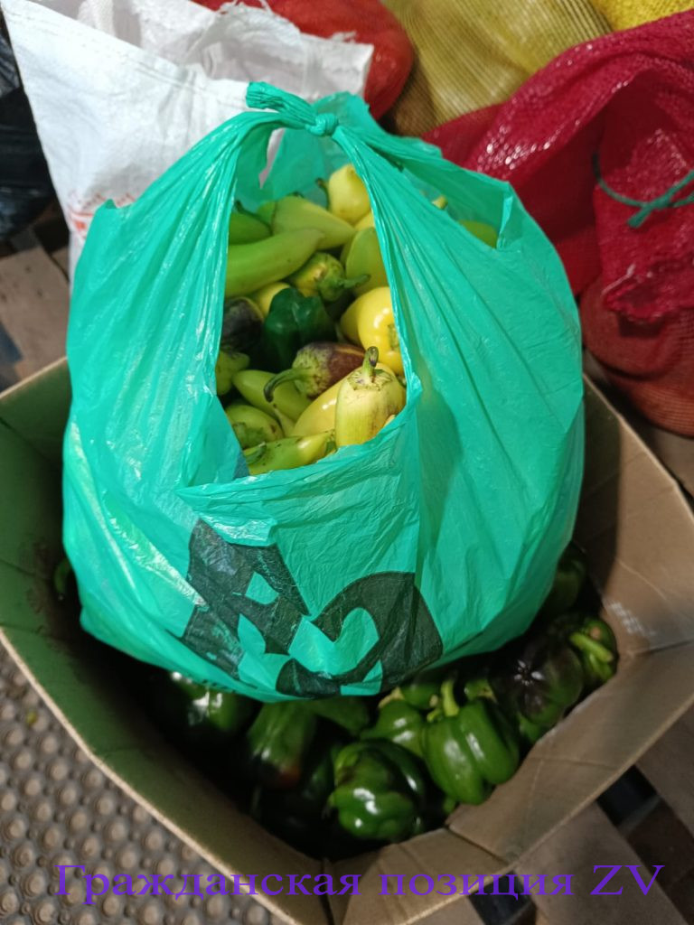 Настал сезон овощей