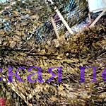 Сеточки от "Надежды"